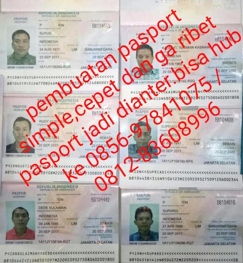 Ditjen Imigrasi Imbau Masyarakat Berani Laporkan Calo Paspor