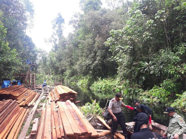 Dor! Dor! Suara Tembak di Hutan Giam Siak