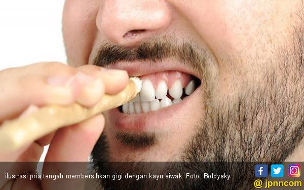 4 Manfaat Siwak untuk Kesehatan Gigi dan Mulut - JPNN.com