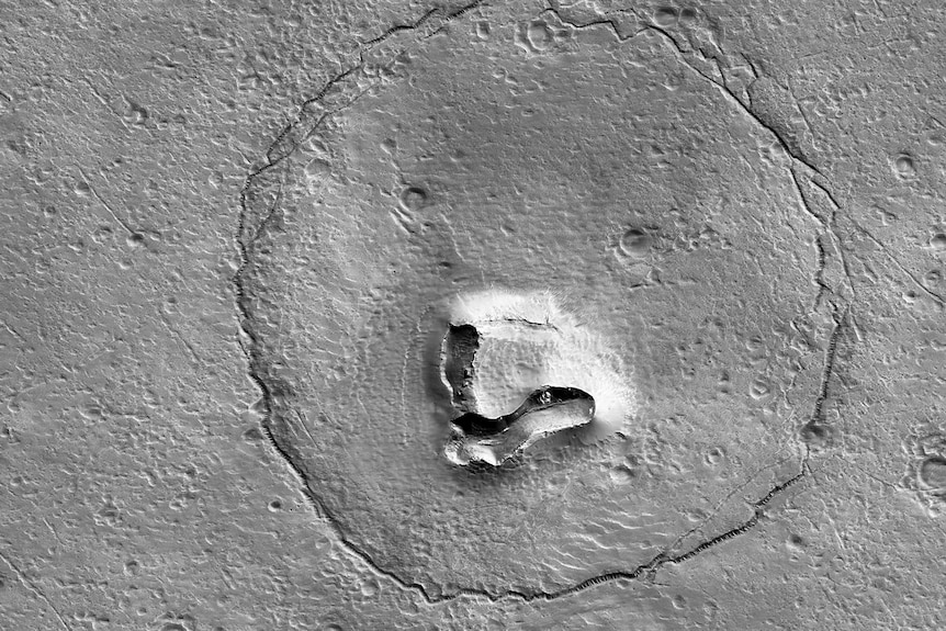 Ada Batu di Mars yang Membentuk Wajah Beruang, Ini Penjelasannya - JPNN.com