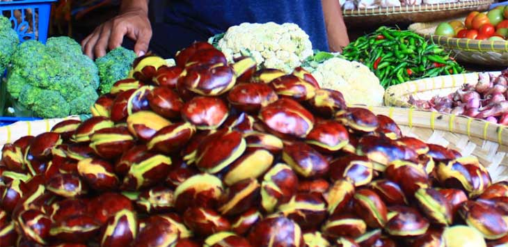 Benarkah Jengkol Bisa Mengatasi Penyakit Jantung Jpnn 