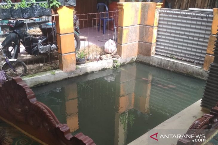 Bayi Satu Tahun Ditemukan Tewas Di Dalam Kolam Ikan Depan Rumah Jpnn Com