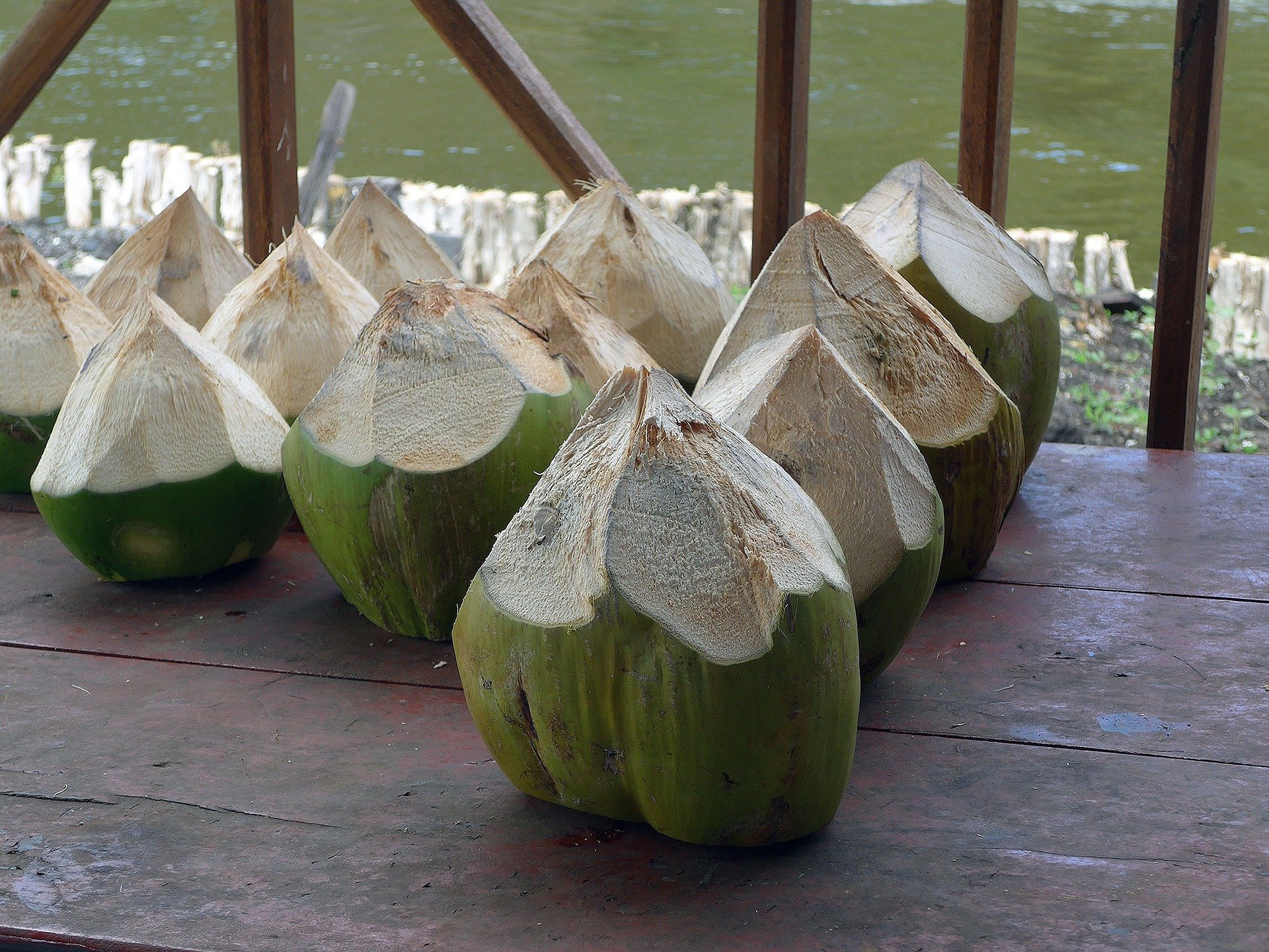 Rutin Minum Air Kelapa Hijau Campur Madu Dapatkan 4 Manfaatnya Jpnn 