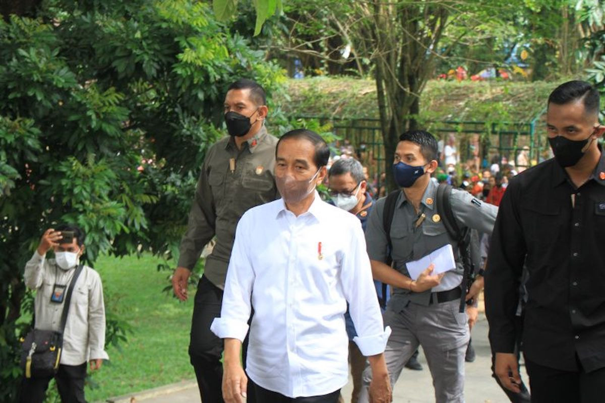 Presiden Jokowi Bilang Begini Soal Kinerja Gibran di Kota Surakarta - JPNN.com Sumut