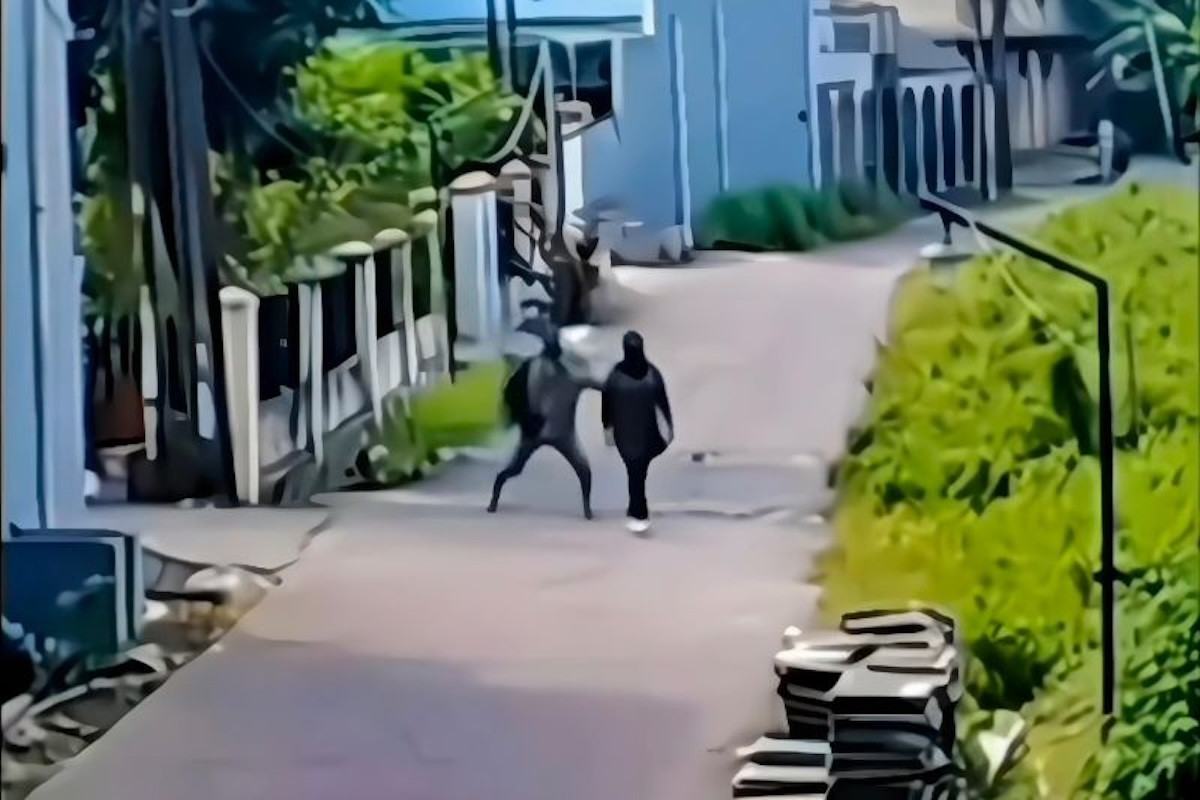 Polisi Buru Pelaku yang Menghantam Wanita Pakai Batu di Bekasi - JPNN.com