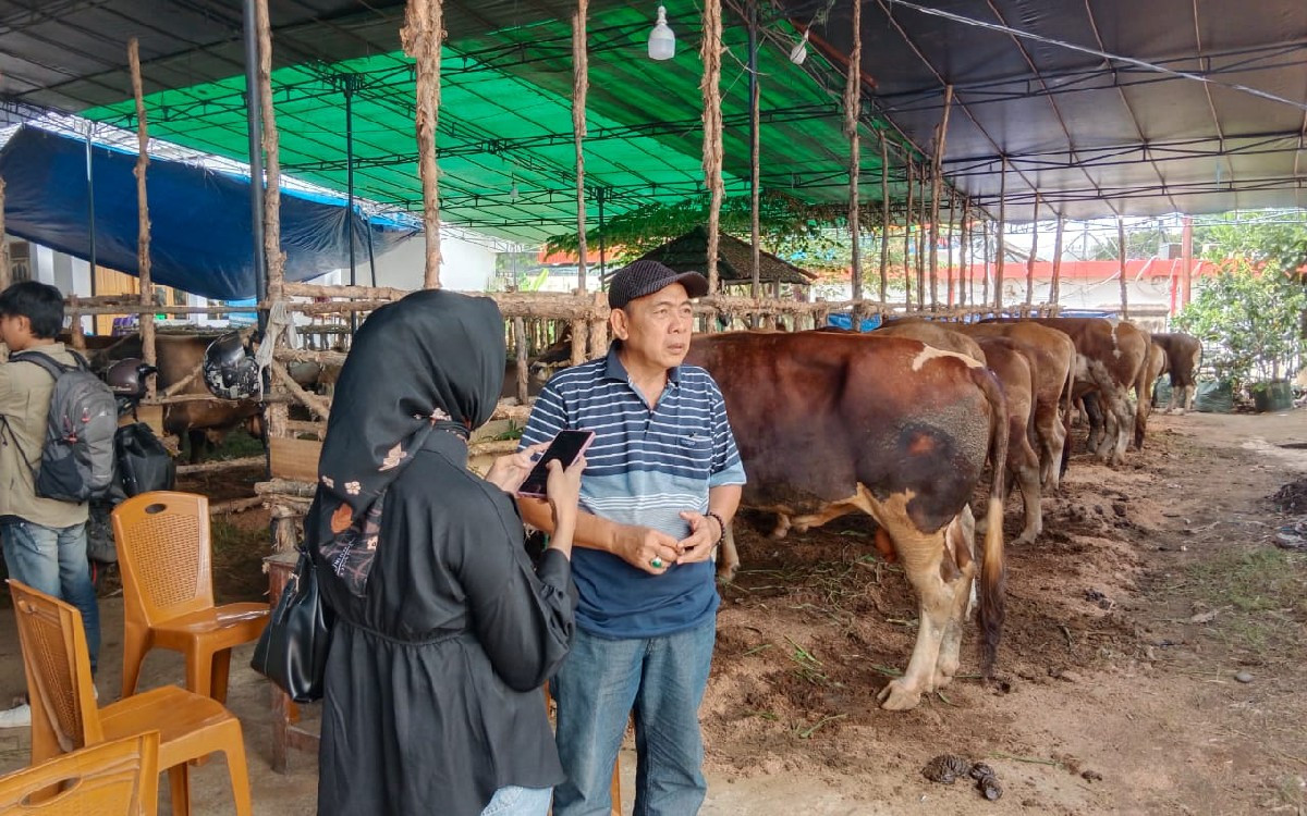 Penjual Hewan Kurban di Palembang Mulai Banjir Pesanan - JPNN.com