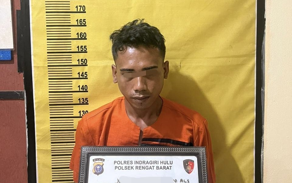 Tak Berkutik, Pengangguran Perkosa IRT, Ditangkap Polres Inhu Setelah Beraksi - JPNN.com