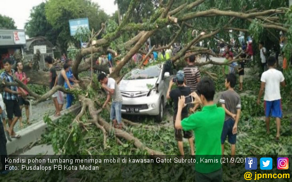 Gubrak Mobil  Tertimpa Pohon Tumbang Bocah 8 Tahun 