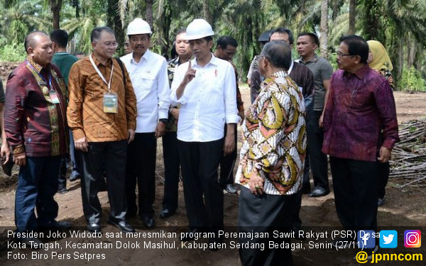 Kisah Jokowi Dimarahi Petani Jagung - JPNN.COM