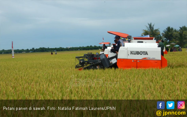 Kartu Tani Bikin Petani Makin Gampang Tebus Pupuk 