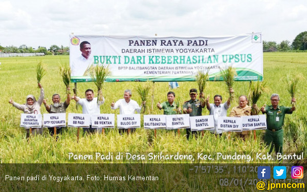 Tiada Hari Tanpa Panen di Yogyakarta - JPNN.COM Tiada Hari Tanpa Panen di Yogyakarta - JPNN.COM