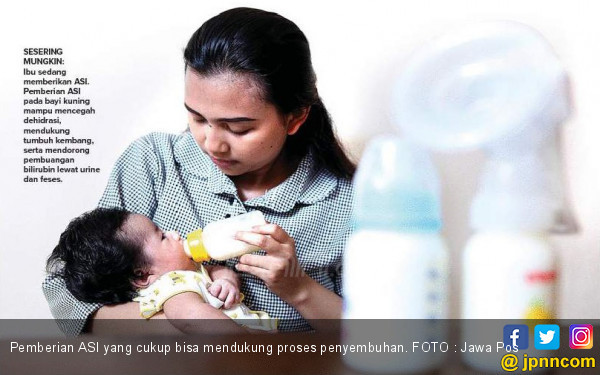 Pemberian Asi Dukung Kesembuhan Bayi Kuning Jpnn Com