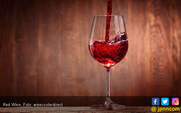 6 Khasiat Minum Wine, Bikin Penyakit Ini Kabur - JPNN.com