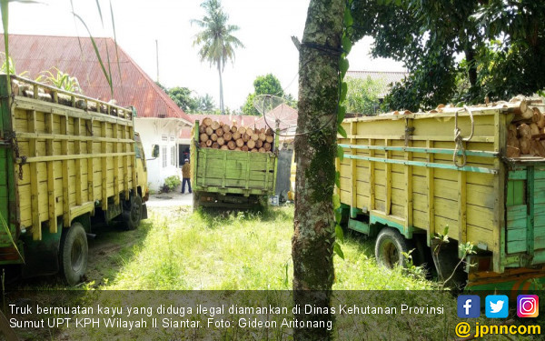 Empat Truk  Pengangkut Kayu  Ilegal  Diamankan Intel Kodim 