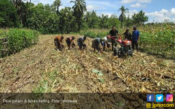 Lahan Kering Iklim Kering Harapan Pertanian Masa Depan 