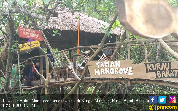Susuri Hutan Mangrove Munjang, Berdamai dengan Alam - Features JPNN.com