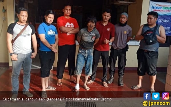 Gambar Hewan Berkaki Empat  Empat  Pencuri Sapi Dikepung Dor Dor Kena Satu 