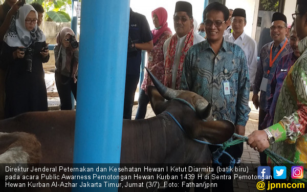  Daging  Hewan  Kurban Harus Memenuhi Persyaratan ASUH 