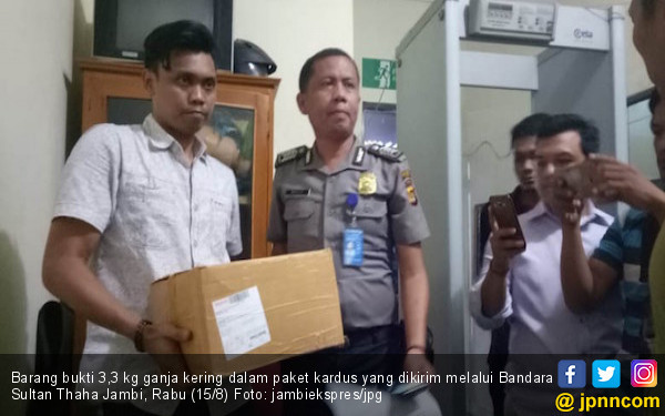 Petugas Gagalkan Penyeludupan 3,3 Kg Ganja di Bandara Jambi - JPNN.COM