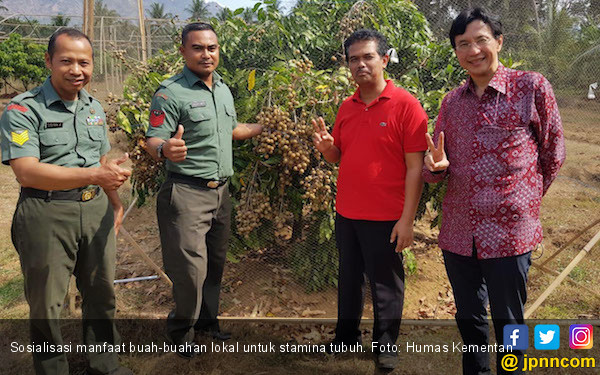 pangan lokal beri  manfaat nilai impor buah turun