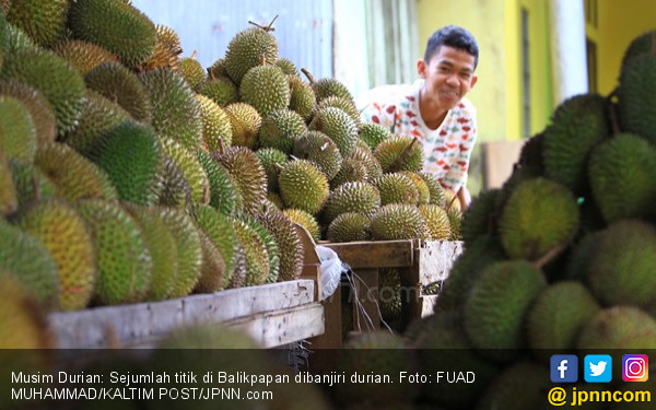 Jangan Takut Makan Durian, Simak nih Penjelasan Pakar Gizi 