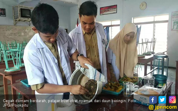 Hebat! Tiga Pelahar Buat Obat Nyamuk dari Daun Beringin - Daerah JPNN.com