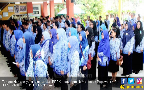 Honorer K2 Maluku Utara Menolak PPPK, Honorer K2 meminta DiJadikan PNS, Kata Koordinator honorer K2 Maluku Utara