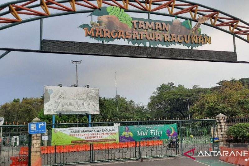 Kembali Beroperasi, Taman Margasatwa Ragunan Diserbu Ribuan Pengunjung