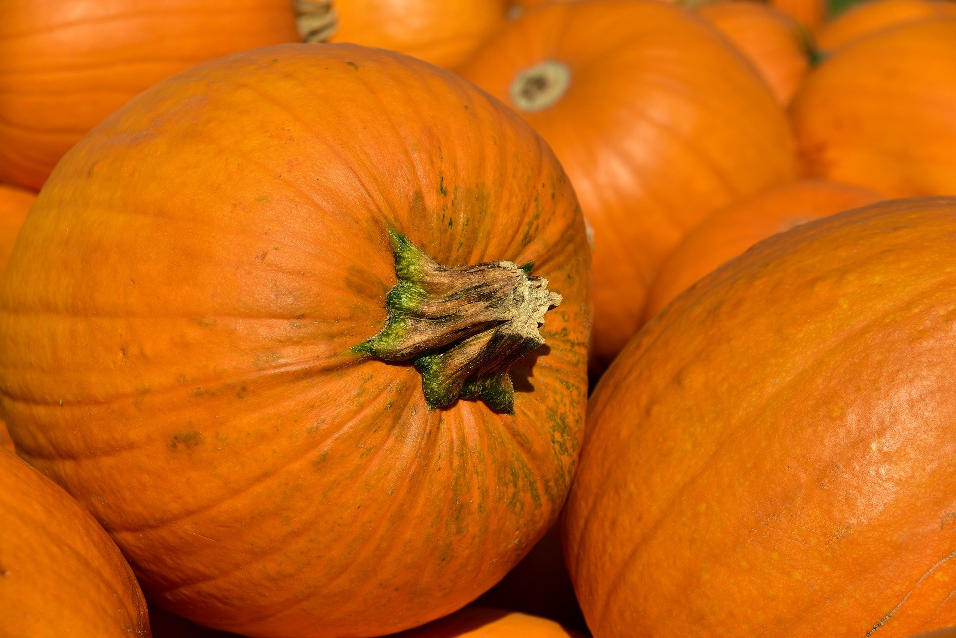 Good for eyesight, here are 6 benefits of pumpkin you need to know - JPNN.com