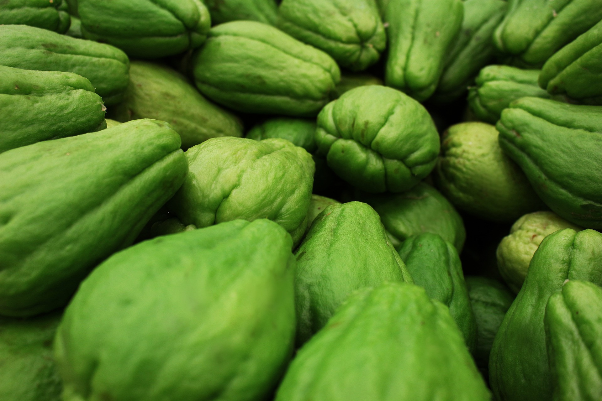 Effective Overcome Uric Acid, These are 6 Benefits of Chayote for the Body - JPNN.com