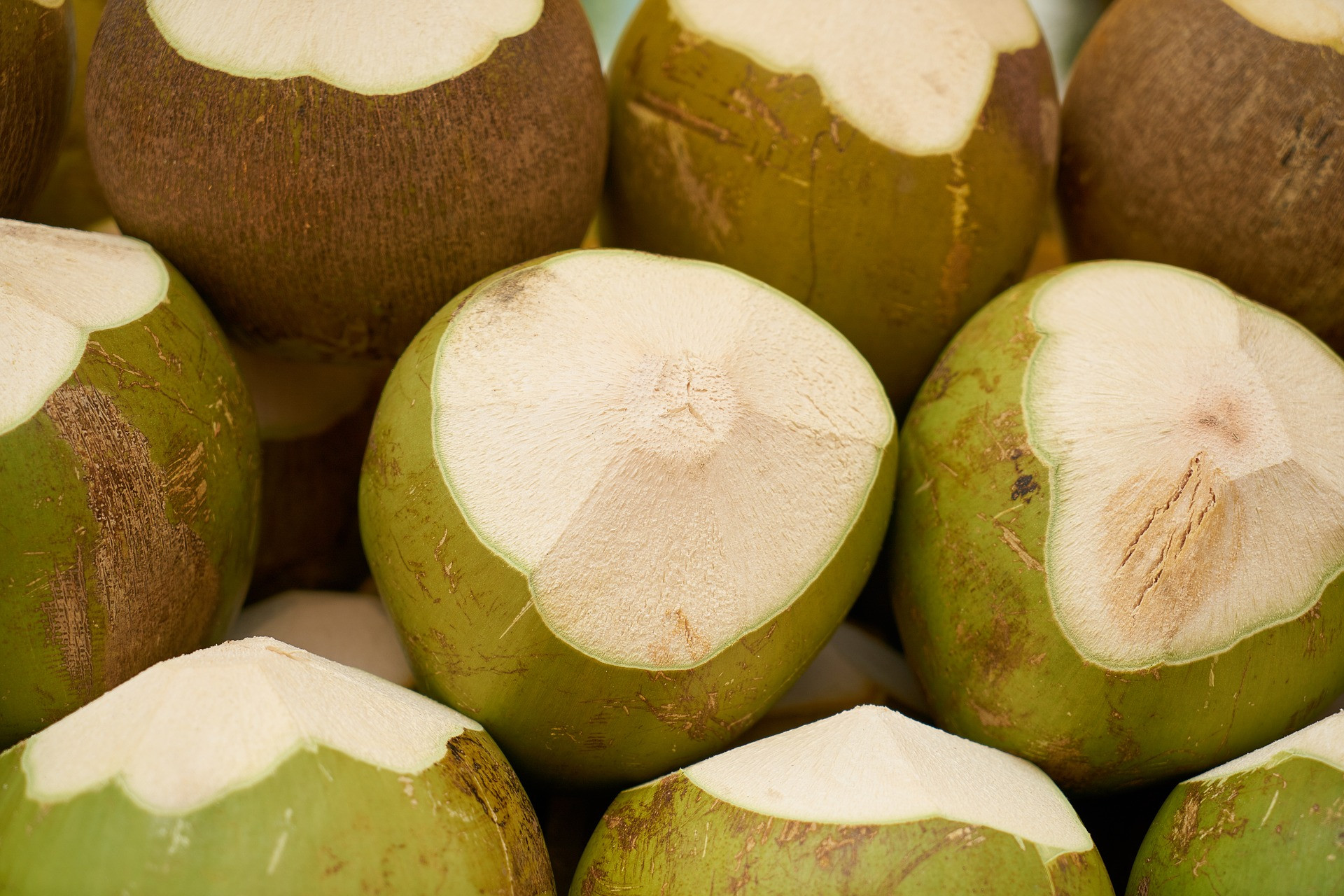 Bantu Luruhkan Batu Ginjal Ini 6 Manfaat Minum Air Kelapa Hijau Campur Madu Jpnn 