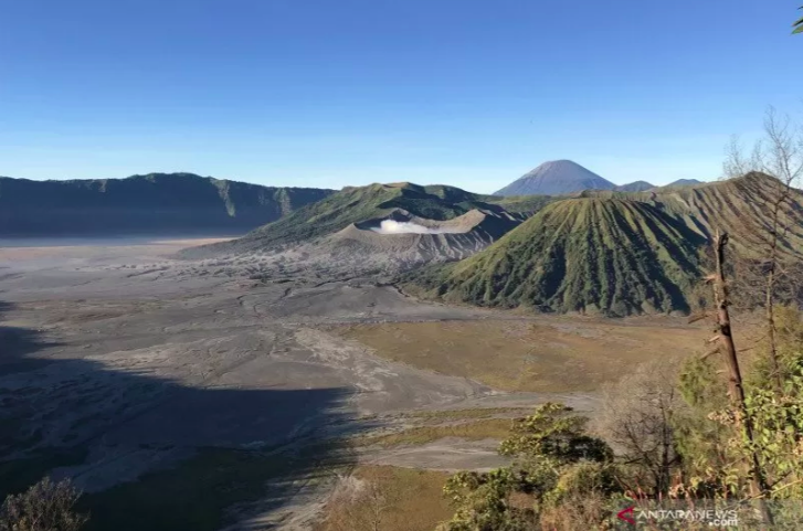 Viral Mobil Pribadi Masuk Kawasan Wisata Gunung Bromo, Ternyata - JPNN.com Jatim
