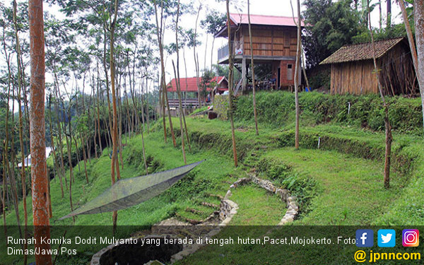 Wow, Dodit Miliki Rumah di Tengah Hutan - JPNN.com