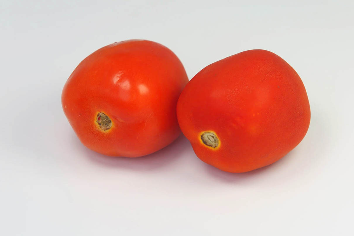 5 Manfaat Konsumsi Tomat Tiap Hari, Nomor 2 Bikin Kaget - JPNN.com