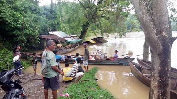 Batang Sinamar Meluap, Puluhan Hektare Sawah Terendam Banjir