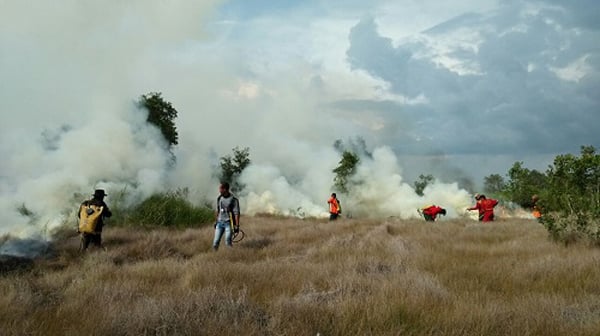 Status Karhutla Riau dan Kalsel Resmi Diperpanjang