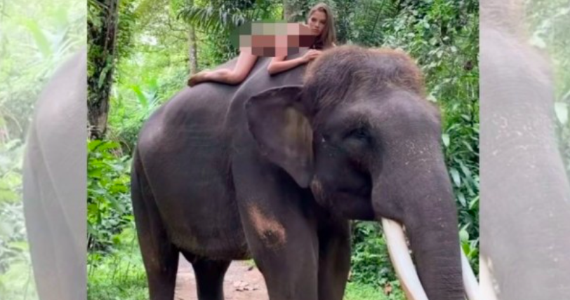 Unggah Foto Tanpa Busana di Atas Gajah Sumatera, Model Cantik ini Langsung Dikecam Netizen