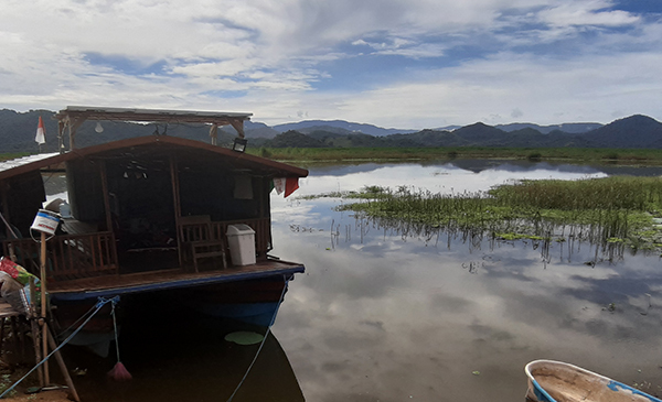  Manjakan Mata di Hamparan Teratai Danau Taliwang