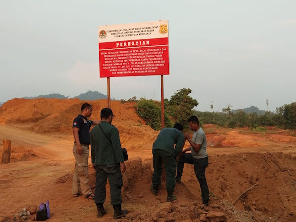 KLHK Sita Tujuh Ekskavator Tambang di Habitat Orangutan 