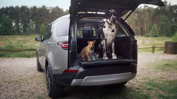 Jaguar Land Rover Rilis Aksesori Khusus Penumpang Hewan