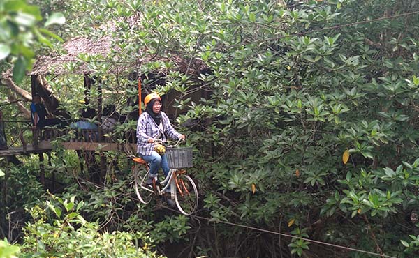 Susuri Hutan Mangrove Munjang, Berdamai dengan Alam