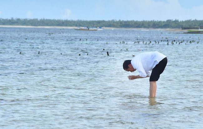 Pak Jokowi Ajak Bu Iriana Nikmati Keindahan Pantai Rote Ndao