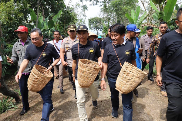 Akhir Pekan, Zulhasan Panen Raya Kopi di Lampung Barat
