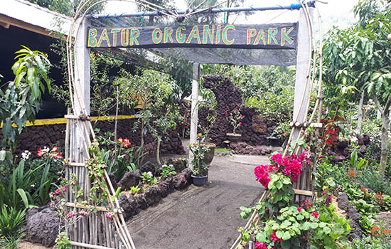 Cantiknya Batur Organic Park di Antara Tambang Galian C