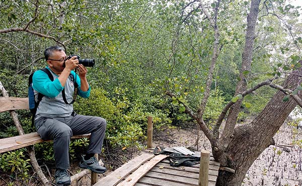 Susuri Hutan Mangrove Munjang, Berdamai dengan Alam