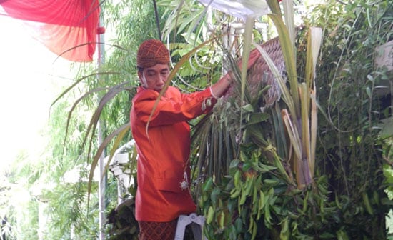 Siraman Kahiyang, Jokowi Pasang Blaketepe Depan Rumah