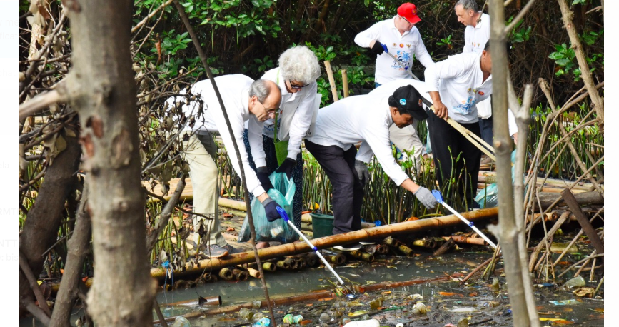 Lihat Nih, Menteri Siti Ajak 26 Dubes Bersihkan Sampah di TWA Mangrove Angke