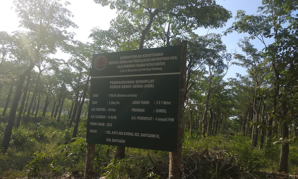 Hutan Produksi Kemampo, Tumpuan Harapan Warga Banyuasin