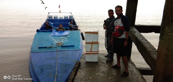 TNI AL Menggagalkan Penyelundupan Baby Lobster ke Singapura