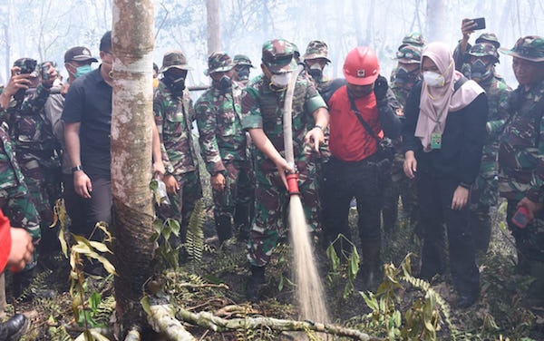 Panglima TNI Siapkan Dua Strategi Memadamkan Kathutla di Pulau Rupat